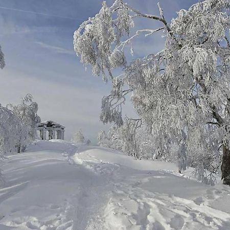 Maison Rurale En Bordure De Forêt Schirmeck Extérieur photo