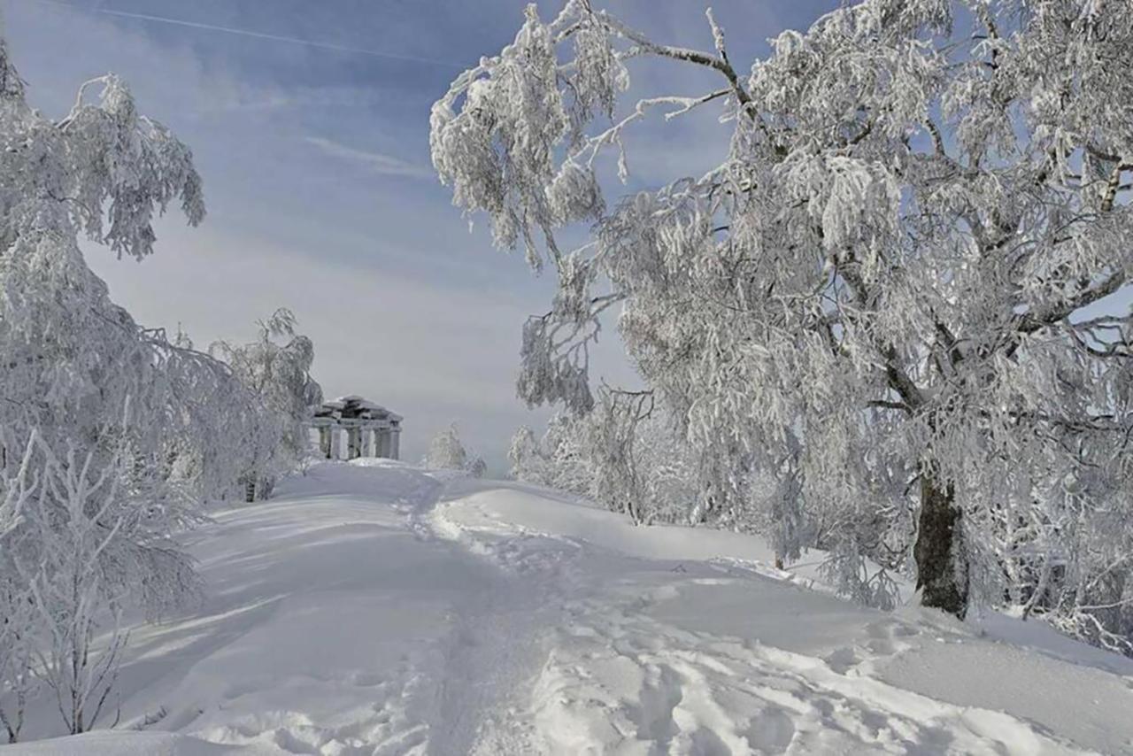Maison Rurale En Bordure De Forêt Schirmeck Extérieur photo