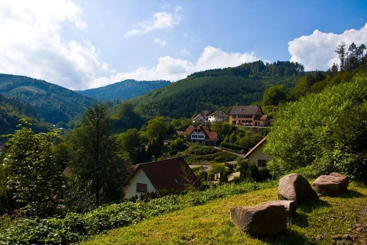 Maison Rurale En Bordure De Forêt Schirmeck Extérieur photo